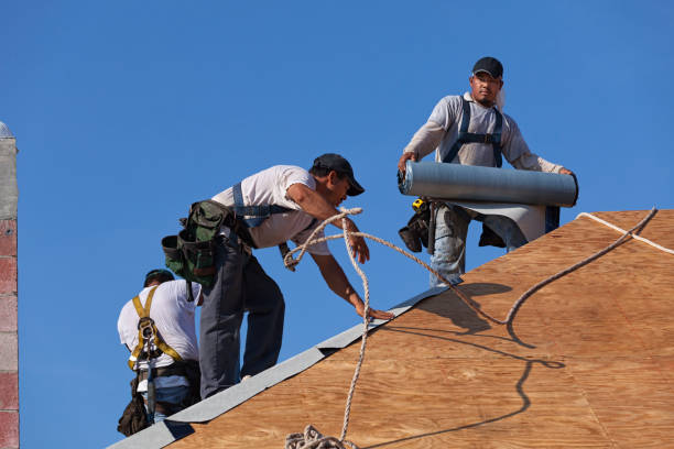 Best Roof Gutter Cleaning  in Sanford, CO