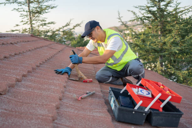 Professional Roofing Contractor in Sanford, CO